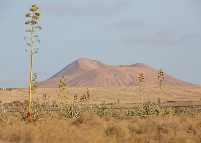 Lägenhet Exclusive Design Loft With Air-conditioning 7 Minutes From The *