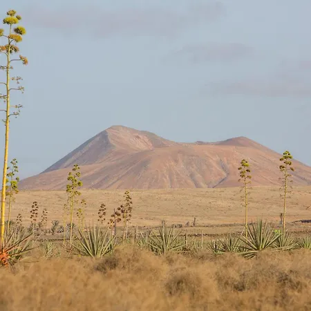 公寓 Exclusive Design Loft With Air-conditioning 7 Minutes From The *